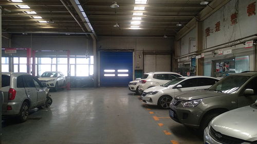 汽車經(jīng)銷商生存現(xiàn)狀白皮書(shū) 奇瑞品牌